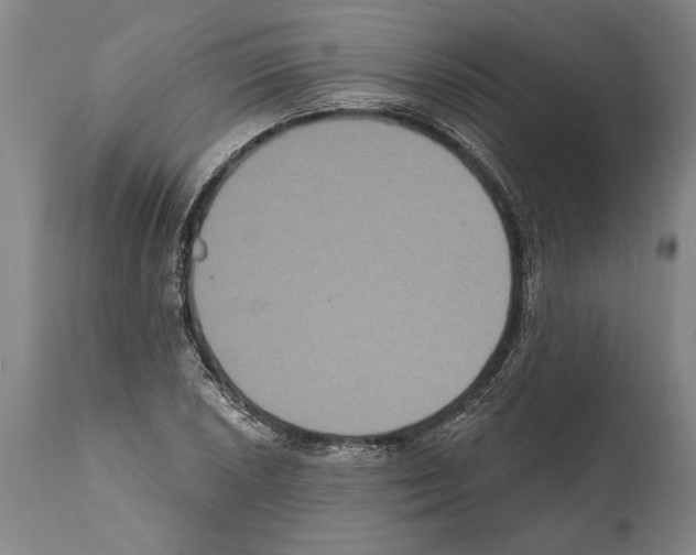 X0000112001026200909141056