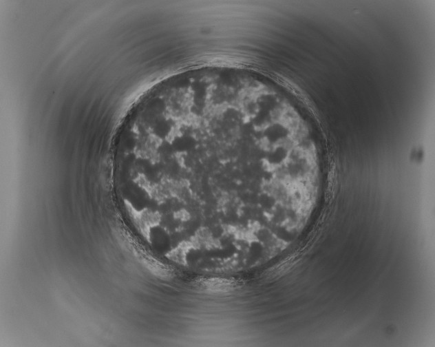 X0000112001027200909141056