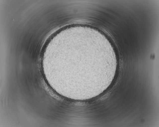 X0000112001029200909141056