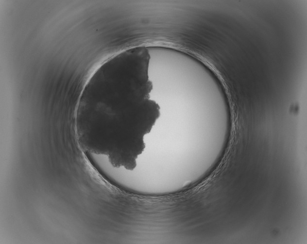 X0000112001032200909141056