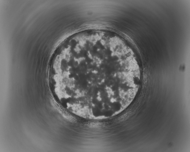 X0000112001035200909141056