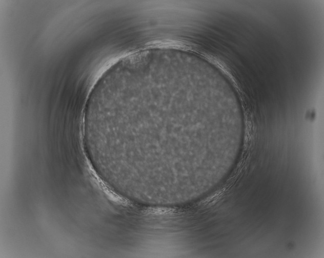 X0000112001040200909141056