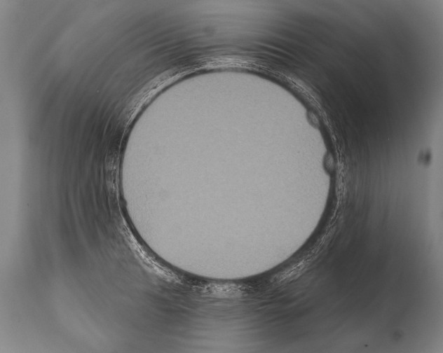 X0000112001041200909141056