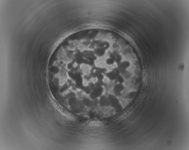 X0000112001043200909141056