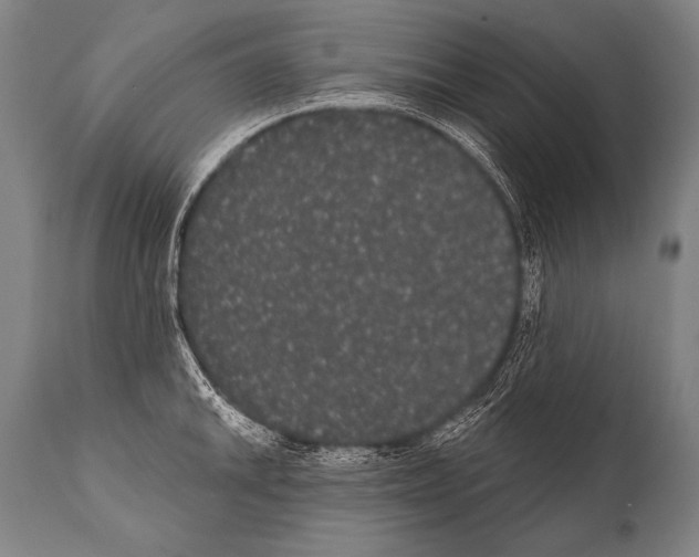 X0000112001046200909141056