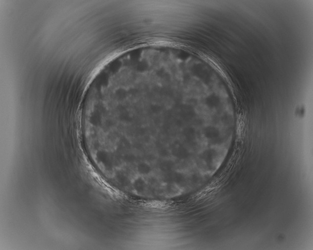 X0000112001048200909141056