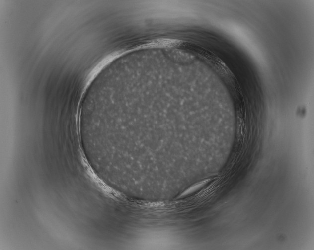 X0000112001054200909141056