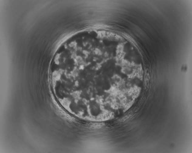 X0000112001055200909141056