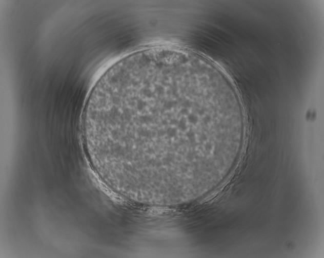 X0000112001056200909141056