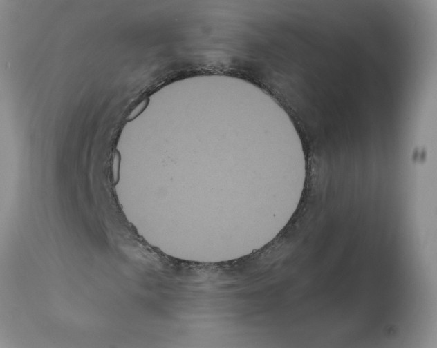 X0000112001057200909141056