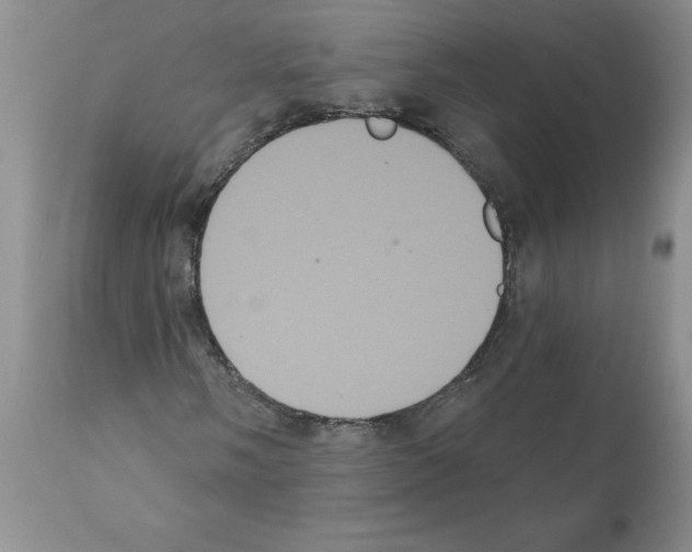 X0000112001058200909141056