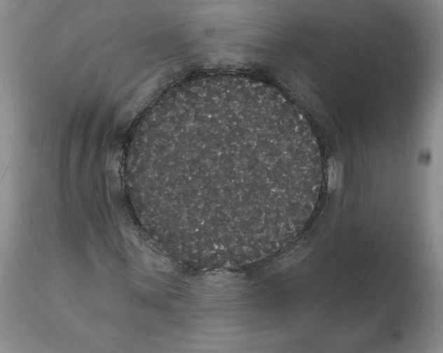 X0000112001059200909141056