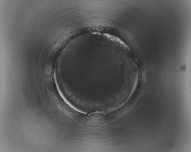 X0000112001060200909141056