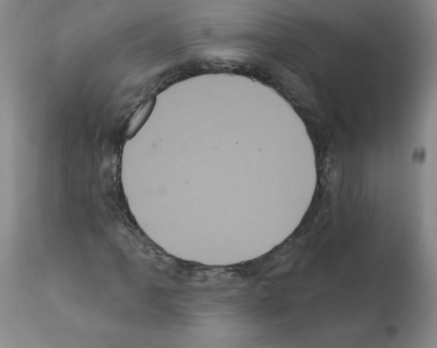 X0000112001061200909141056