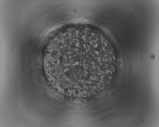 X0000112001063200909141056