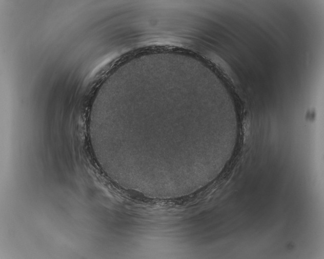 X0000112001064200909141056