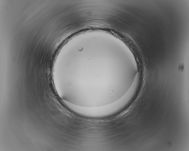 X0000112001065200909141056