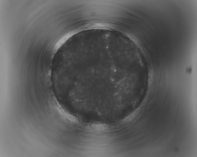 X0000112001066200909141056