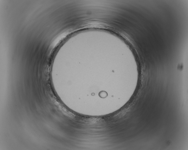 X0000112001067200909141056