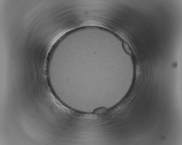 X0000112001068200909141056