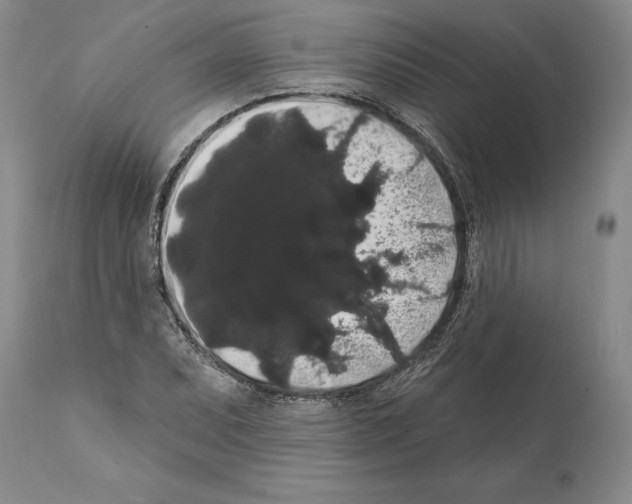 X0000112001071200909141056