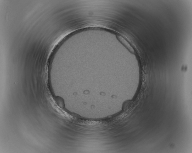 X0000112001076200909141056