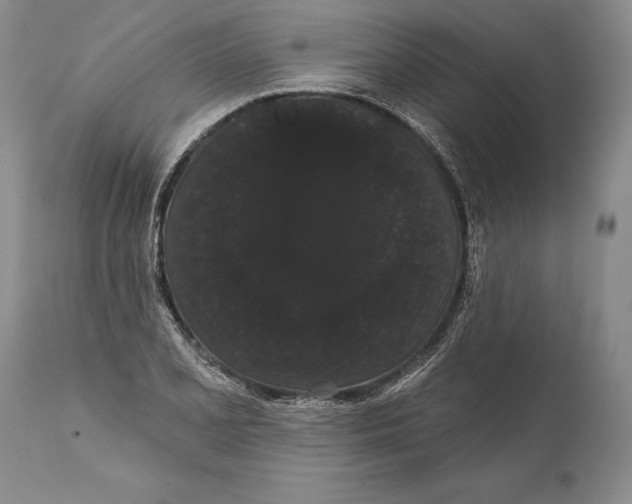 X0000112001077200909141056