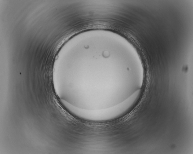 X0000112001081200909141056