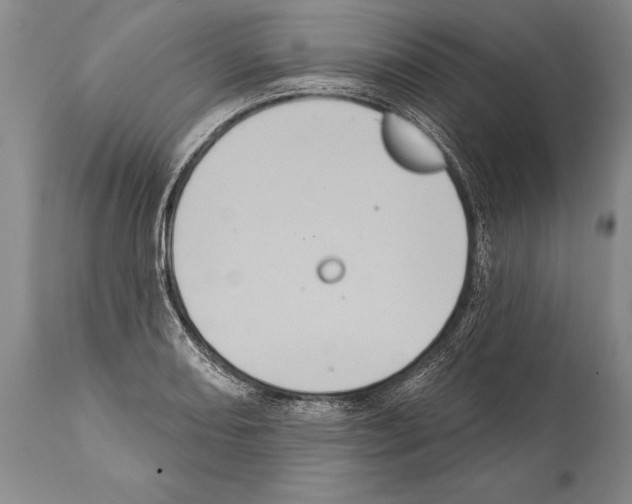 X0000112001082200909141055