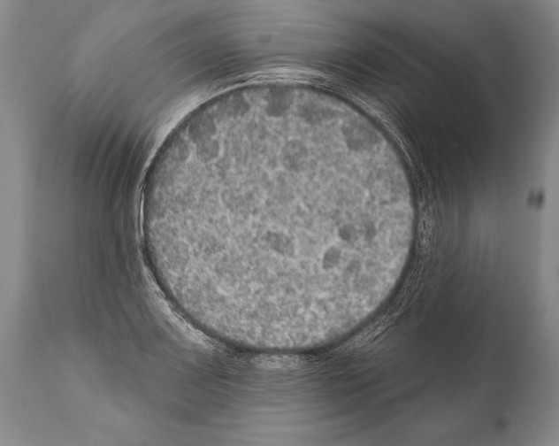 X0000112001083200909141055