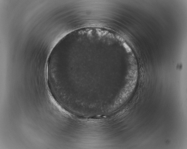 X0000112001084200909141055