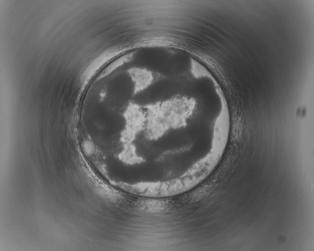 X0000112001086200909141055