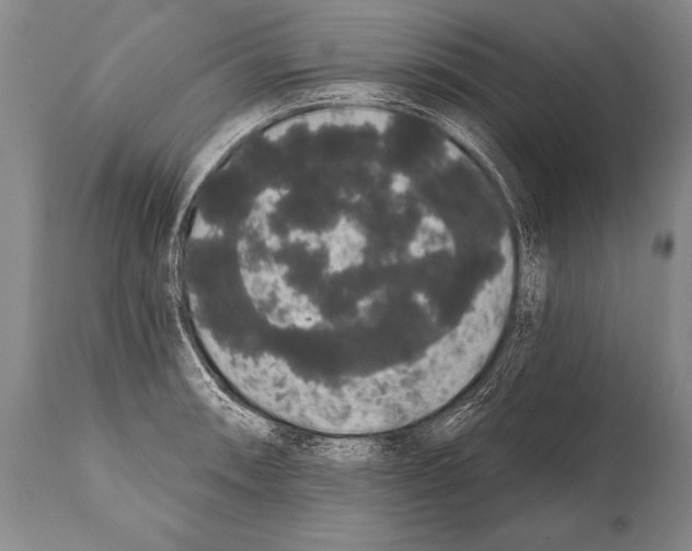 X0000112001090200909141055