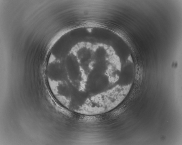 X0000112001094200909141055