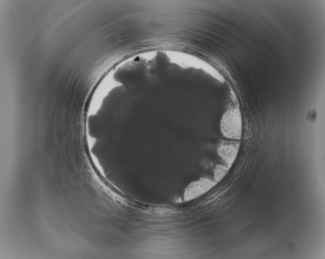 X0000112001095200909141055