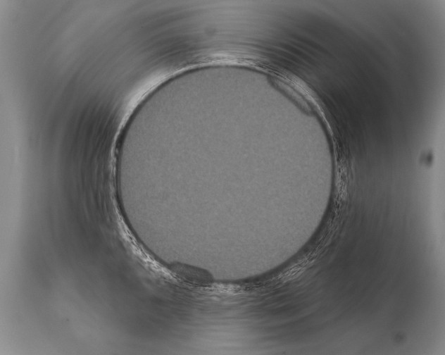 X0000112001096200909141055