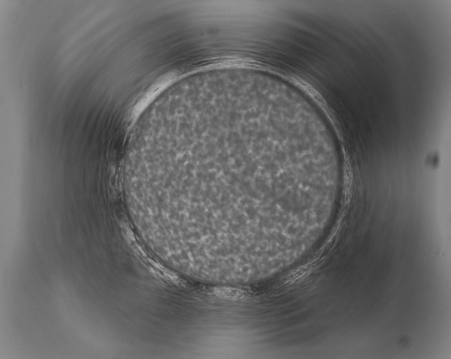 X0000112001097200909141055