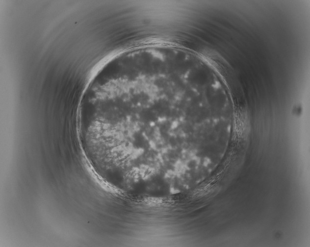 X0000112001098200909141055