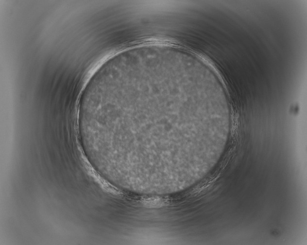 X0000112001099200909141055