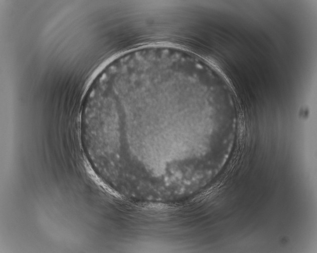 X0000112001100200909141055