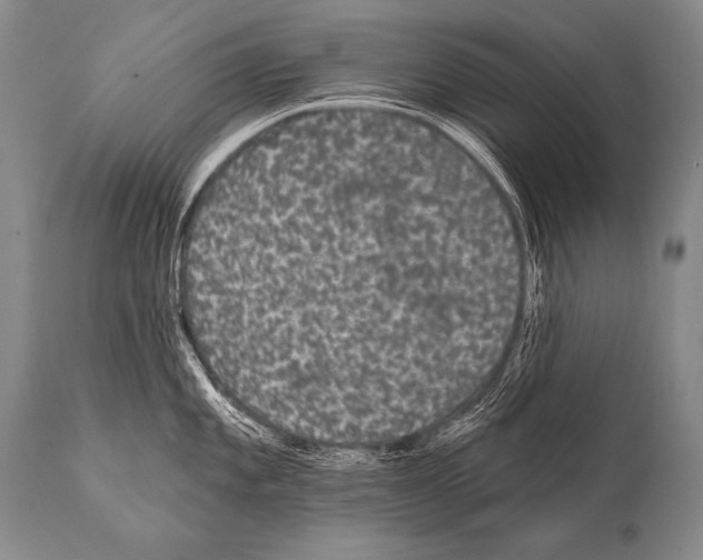 X0000112001101200909141055