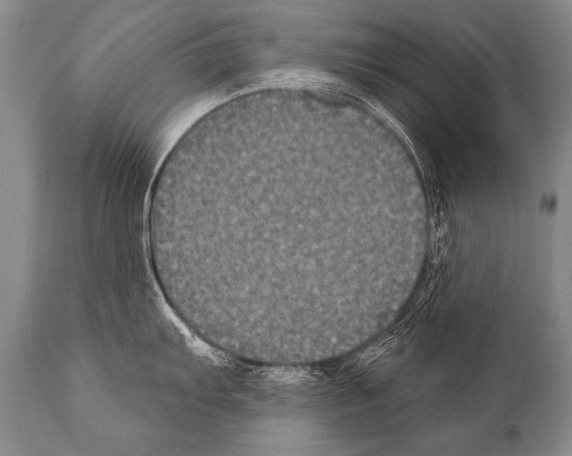 X0000112001103200909141055