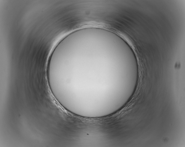 X0000112001104200909141055