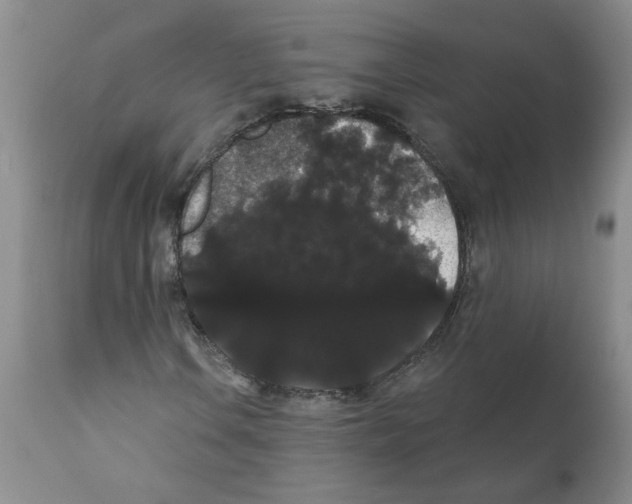 X0000112001106200909141054