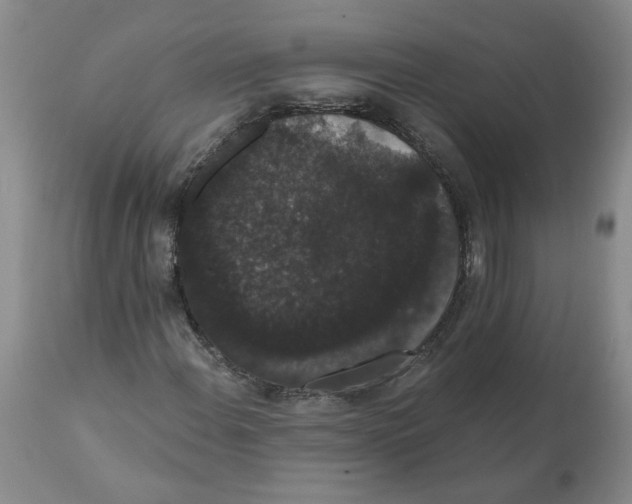 X0000112001108200909141054