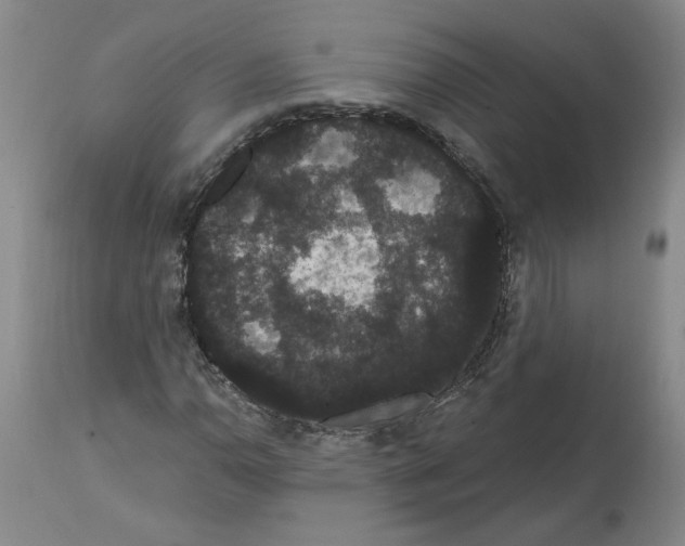 X0000112001110200909141054