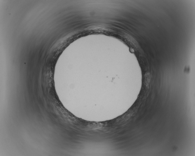 X0000112001111200909141054