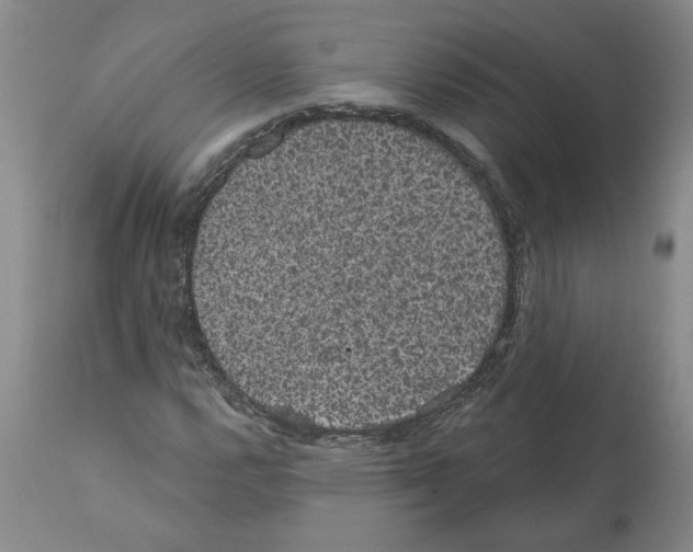 X0000112001112200909141054