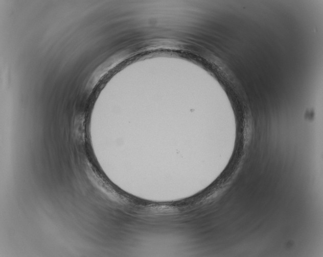 X0000112001113200909141054