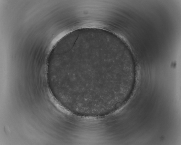 X0000112001114200909141054